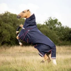 LeMieux Deken Kudos Turnout 50g Navy 14 LeMieux Deken Kudos Turnout 50g Navy -Exporteren Paard Gear Winkel lmx 3n6a9136 1.3375e1