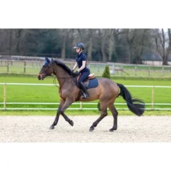 LeMieux Zadeldekje Self-Cool Grip EuroJump Springen Navy L (Full) -Exporteren Paard Gear Winkel lmx g0a9530 hr.16db06