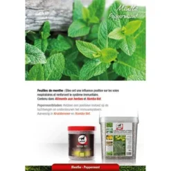 Leovet Kruidenvoer 800gr -Exporteren Paard Gear Winkel lv pfefferminz.2b5f12