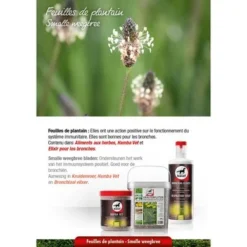 Leovet Kruidenvoer 800gr -Exporteren Paard Gear Winkel lv spitzwegerich.7a75b4 1