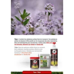 Leovet Bronchiaal Elixer 2500ml 10 Leovet Bronchiaal Elixer 2500ml -Exporteren Paard Gear Winkel lv thymian.31cfa2