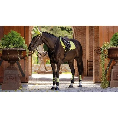 LeMieux Zadeldekje Suede Square CC Kiwi L (Full) 9 LeMieux Zadeldekje Suede Square CC Kiwi L (Full) - Afbeelding 9