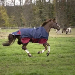 EQUITHÈME Outdoordeken Tyrex 1200D 0g Navy/Bordeaux -Exporteren Paard Gear Winkel outdoordeken 1.0a311b