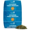 Pharmahorse Luzerne High Protein 10kg