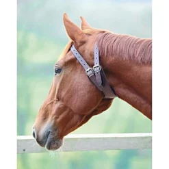Shires Luchtzuigband Australian Nut -Exporteren Paard Gear Winkel product sh 1141 ausnut.87507c