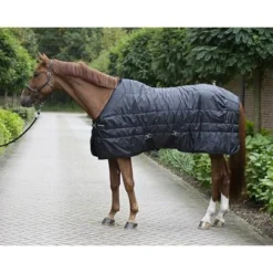 Back On Track Staldeken Rime Mia 160g Zwart 155/206cm 16 Back On Track Staldeken Rime Mia 160g Zwart 155/206cm -Exporteren Paard Gear Winkel productbot 2159 mia rime rug web 1.27bce5