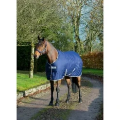 Bucas Freedom Staldeken 150g Navy 20 Bucas Freedom Staldeken 150g Navy -Exporteren Paard Gear Winkel productbucas freedom stable navy 640 641 p104.826b3c