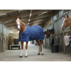 Riding World Staldeken Blauw -Exporteren Paard Gear Winkel productekkia z06101 400 505 763.a1a598