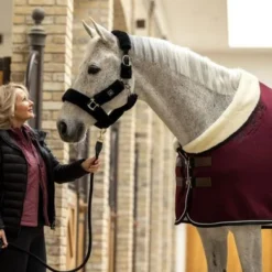 Mrs. Ros Fleecedeken Heavy Weight Royal Fleece -Exporteren Paard Gear Winkel ros 6n3a4114.df3d25