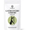 Sensipharm Gastro Entero Comfort Paard 180 Tabl. A 1000 Mg