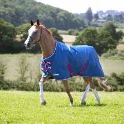 Tempest Original Regendeken Lite Teal