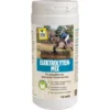 VITALstyle Elektrolyten Mix Paard 1 Kg