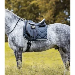 Waldhausen Zadeldekje Valencia Dressuur Nightblue/Zilver -Exporteren Paard Gear Winkel wald 1114605 d 55.ecabc3