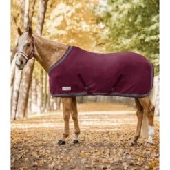 Waldhausen Fleecedeken Espria Comfort Burgundy/Pewter