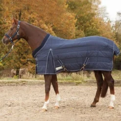 Waldhausen Staldeken Comfort Line 300g Nightblue