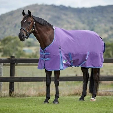 Weatherbeeta Comfitec Essential Standard Neck Lite Violet/Blauw 1 Weatherbeeta Comfitec Essential Standard Neck Lite Violet/Blauw