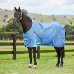 Weatherbeeta Winterdeken Comfitec Classic Standard Neck Medium/Lite 600D 100g Delfts Blauw/Mint