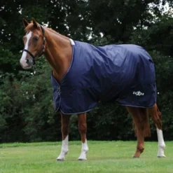 Weatherbeeta Deken Saxon Defiant 600D Standard Neck Lite Navy/Wit -Exporteren Paard Gear Winkel wb 1006342028.4c3fd5