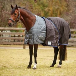 Weatherbeeta Comfitec Liner Medium Rug 200g Grijs -Exporteren Paard Gear Winkel weatherbeeta 1003668004 wb cft ultra cozi dan image null hero.2c0c1e