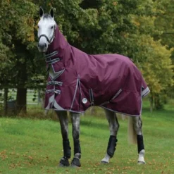 Weatherbeeta Winterdeken Comfitec Plus Dynamic II Combo Neck Medium Maroon/Grijs/Wit