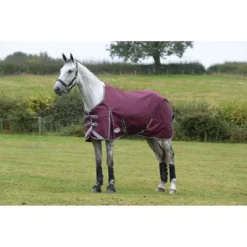Weatherbeeta Winterdeken Comfitec Plus Dynamic II Standard Neck Medium Maroon/Grijs/Wit -Exporteren Paard Gear Winkel weatherbeeta 1006914010 wb cft pdynmc ii std image hero null.407b26