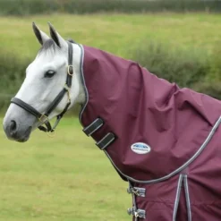 Weatherbeeta Halsstuk Comfitec Plus Dynamic II Neck Rug Medium Maroon/Grijs/Wit -Exporteren Paard Gear Winkel weatherbeeta 1006923003 wb cft pdynmc ii nrg image hero null.6c8478