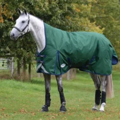 Weatherbeeta Winterdeken Comfitec Plus Dynamic II High Neck Medium Hunter/Navy -Exporteren Paard Gear Winkel weatherbeeta 1006927004 wb cft pdynmc ii high image null hero.81b85f