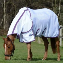 Weatherbeeta Comfitec Airflow II Combo Neck Wit/Lichtblauw/Paars -Exporteren Paard Gear Winkel weatherbeeta 563265636fca30b92dd3fcd71a4c71a7 14.c53b8a