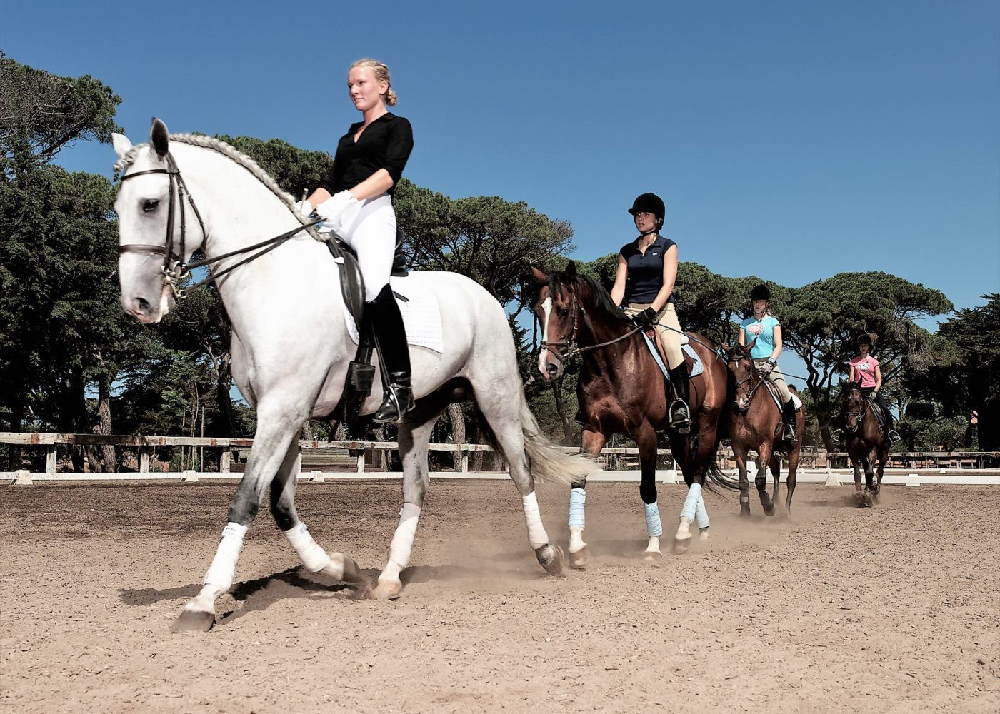 Exporteren Paard Gear Winkel 11 Exporteren Paard Gear Winkel -Exporteren Paard Gear Winkel CHqm0123 31400x1000 1